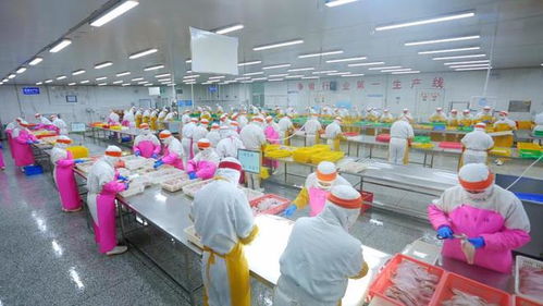 好品山東穿越疫情 中國最大海產品加工外貿企業(yè)的“九條命”銷售之道