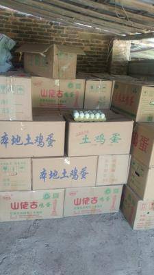 紙托綠殼青皮鴨蛋 優(yōu)質食用農產品的批發(fā)優(yōu)選